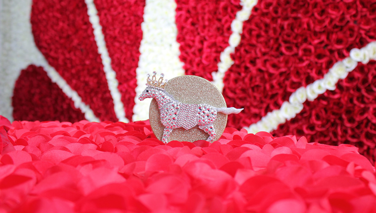 NBC Sports Kentucky Derby Social Brooch Viget