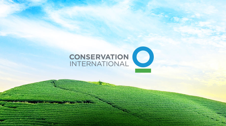Conservation International Conservation.org | Viget
